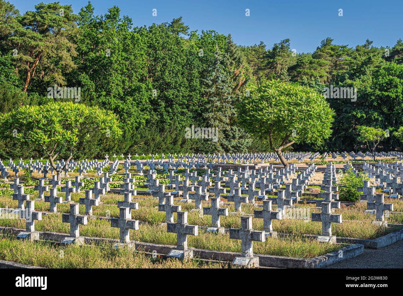 Rangées de tombes dans un cimetière militaire pour les soldats tombés de la 1ère Armée polonaise, Polan Banque D'Images