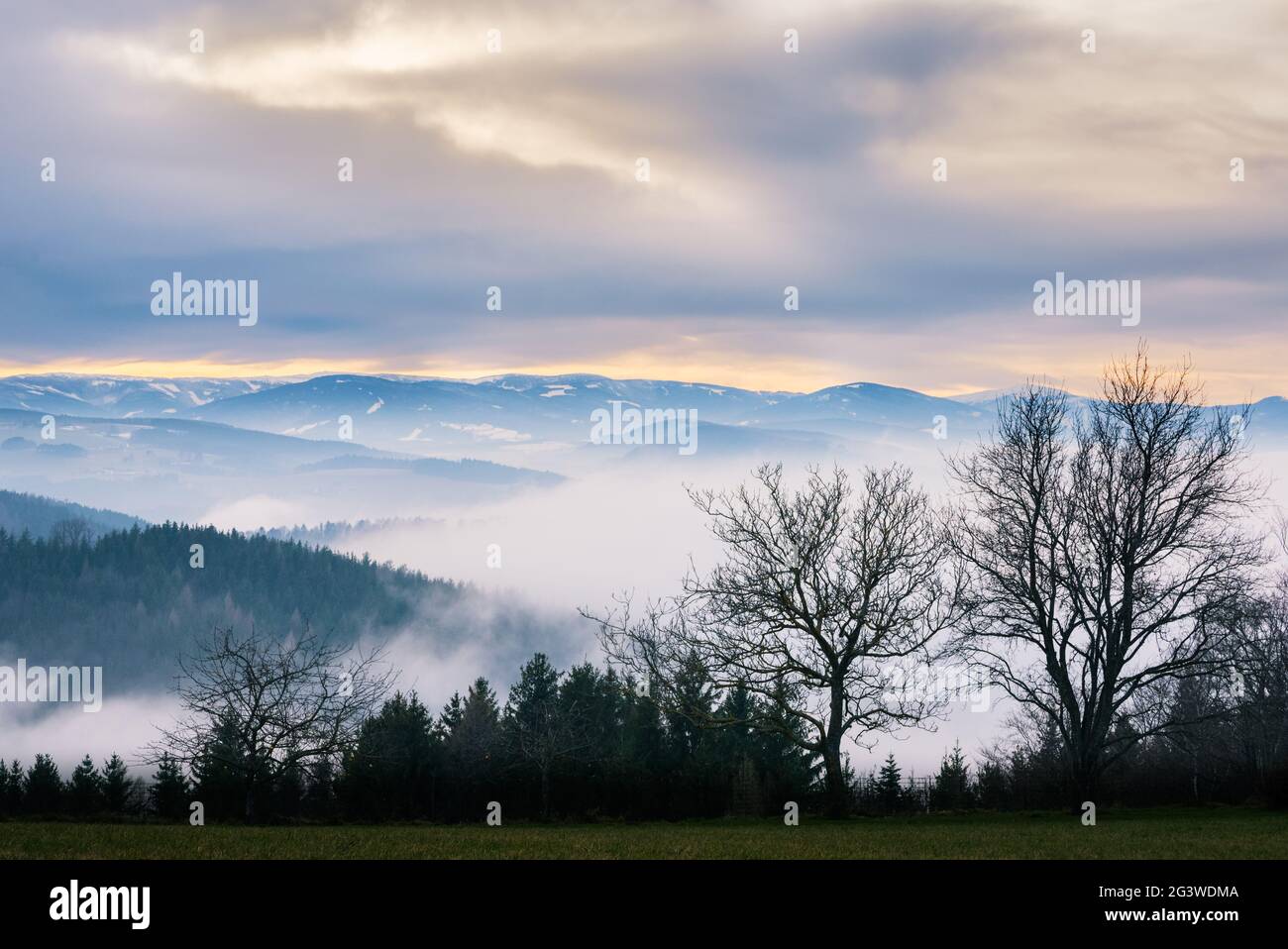 Paysage avec neige en hiver en basse-autriche Banque D'Images