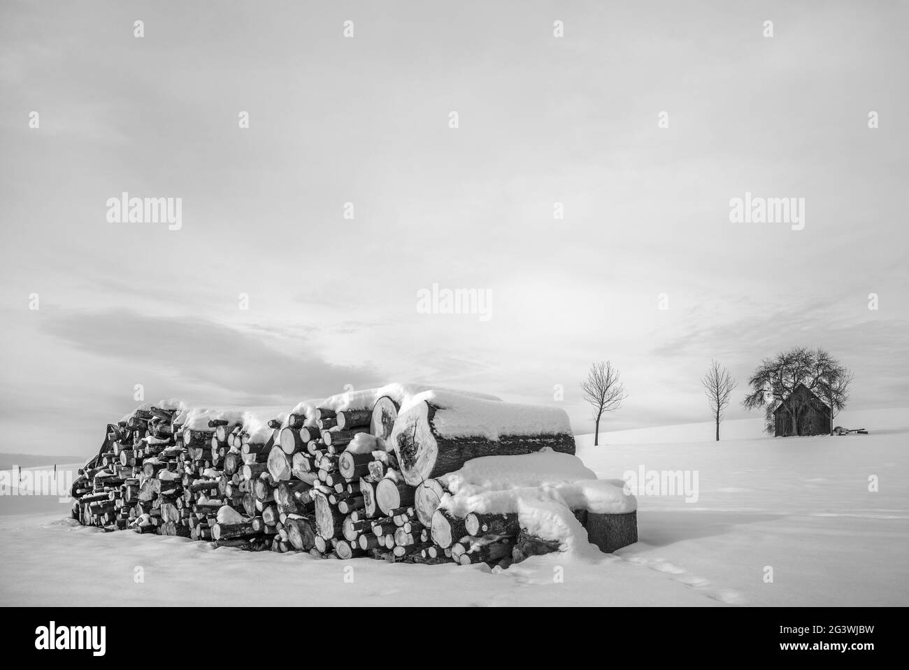 La pile de bois dans la neige Banque D'Images