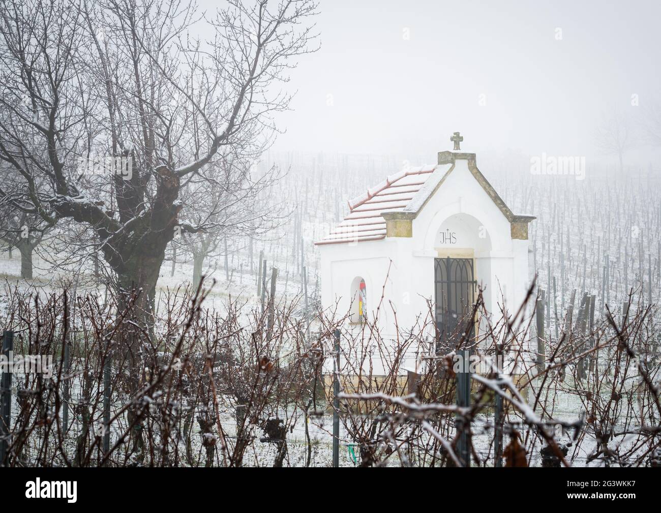 Petite chapelle dans les vignobles d'hiver du burgenland avec brouillard et brume Banque D'Images
