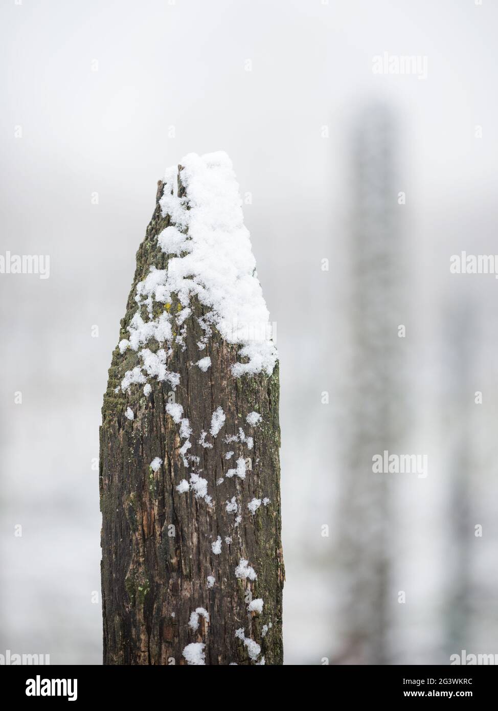 Stand en bois dans un vignoble d'hiver à Burgenland Banque D'Images