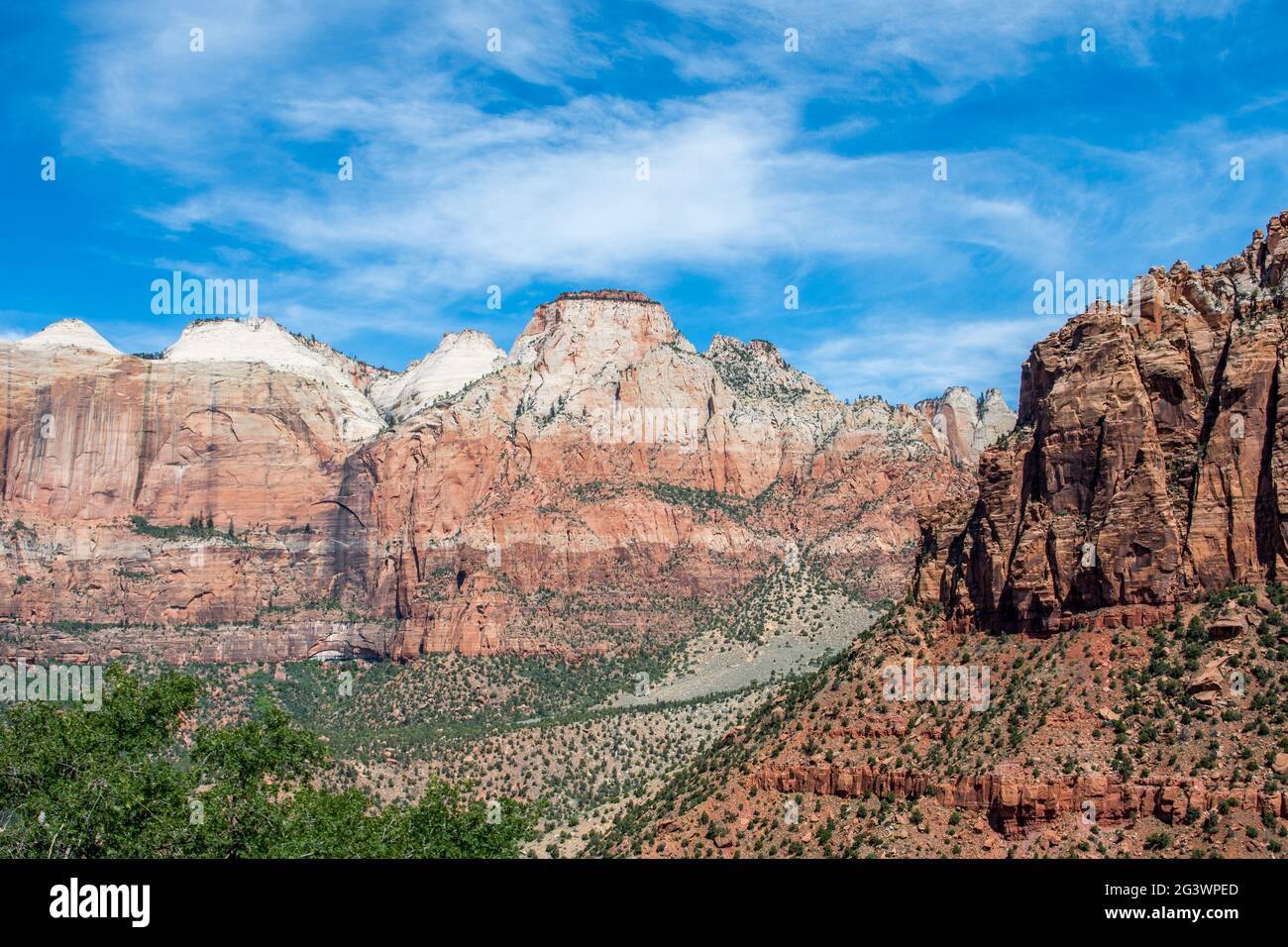 Vue sur la nature dans le parc national de Zion, Utah Banque D'Images