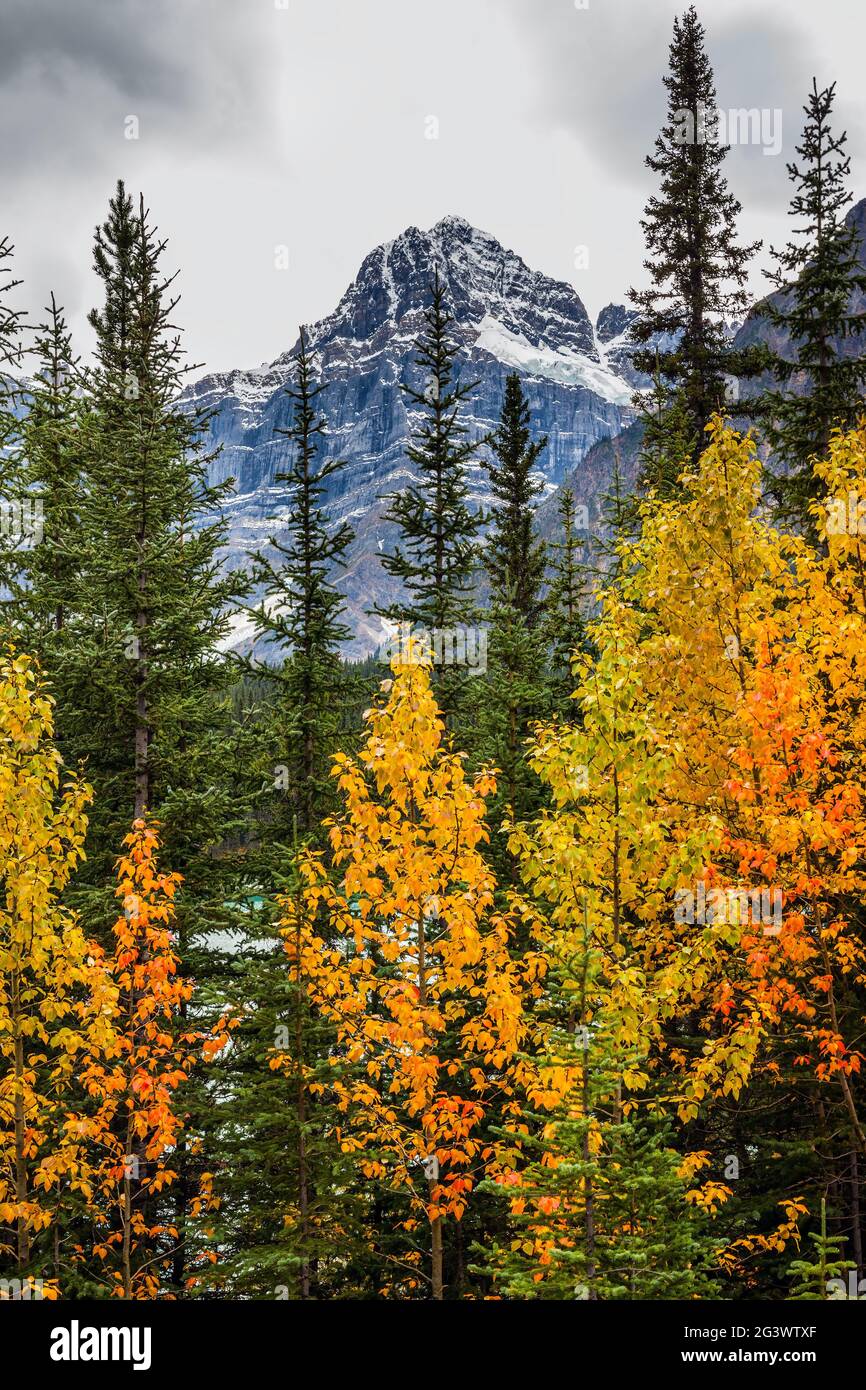 Magnifique automne du nord Banque D'Images