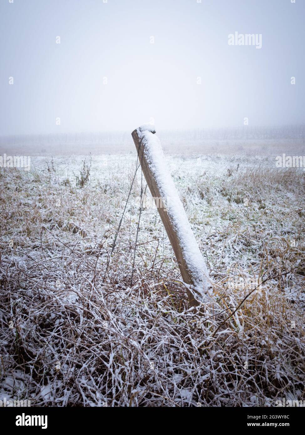 Paysage d'hiver avec pôle dans un vignoble du Burgenland Banque D'Images