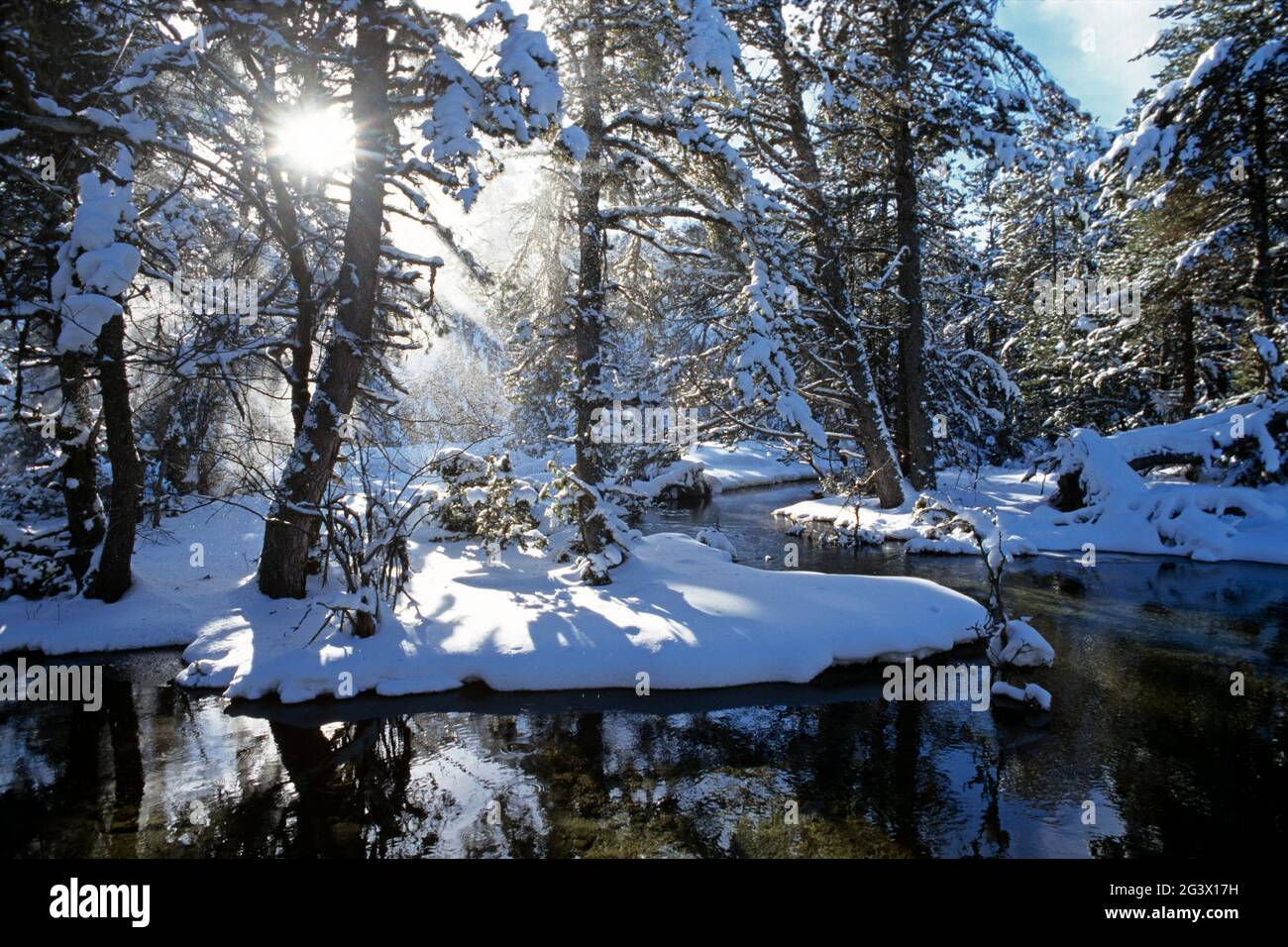 FRANCE PYRÉNÉES ORIENTALES (66). LA CERDANYA. LA RIVIÈRE TET EN HIVER Banque D'Images