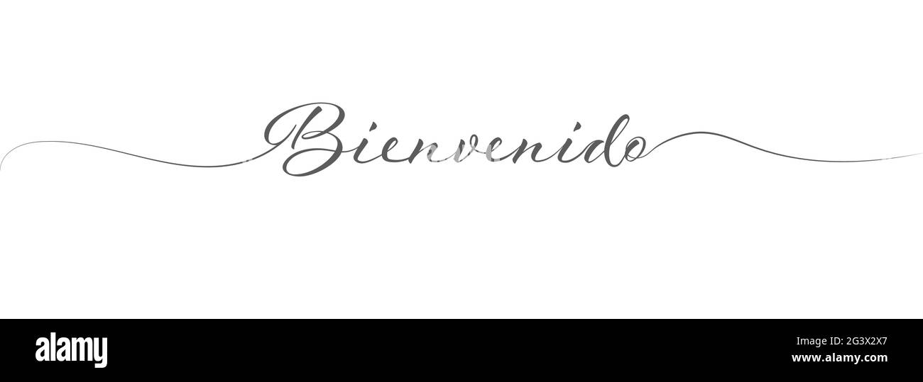 Inscription calligraphique stylisée bienvenue en une ligne, en espagnol. Style simple Illustration de Vecteur