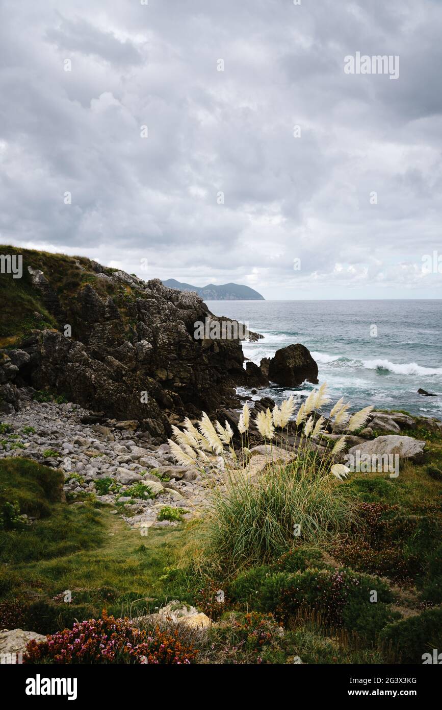 Belles falaises sur la côte de Cantabrie. Jour d'été nuageux Banque D'Images