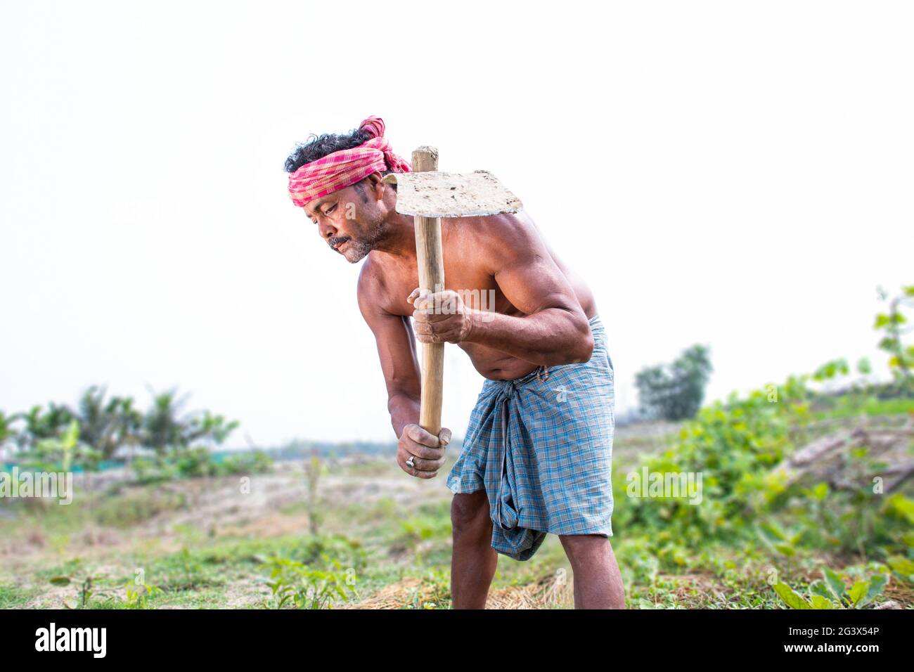 Agriculteur indien rural travaillant dans le domaine agricole Banque D'Images