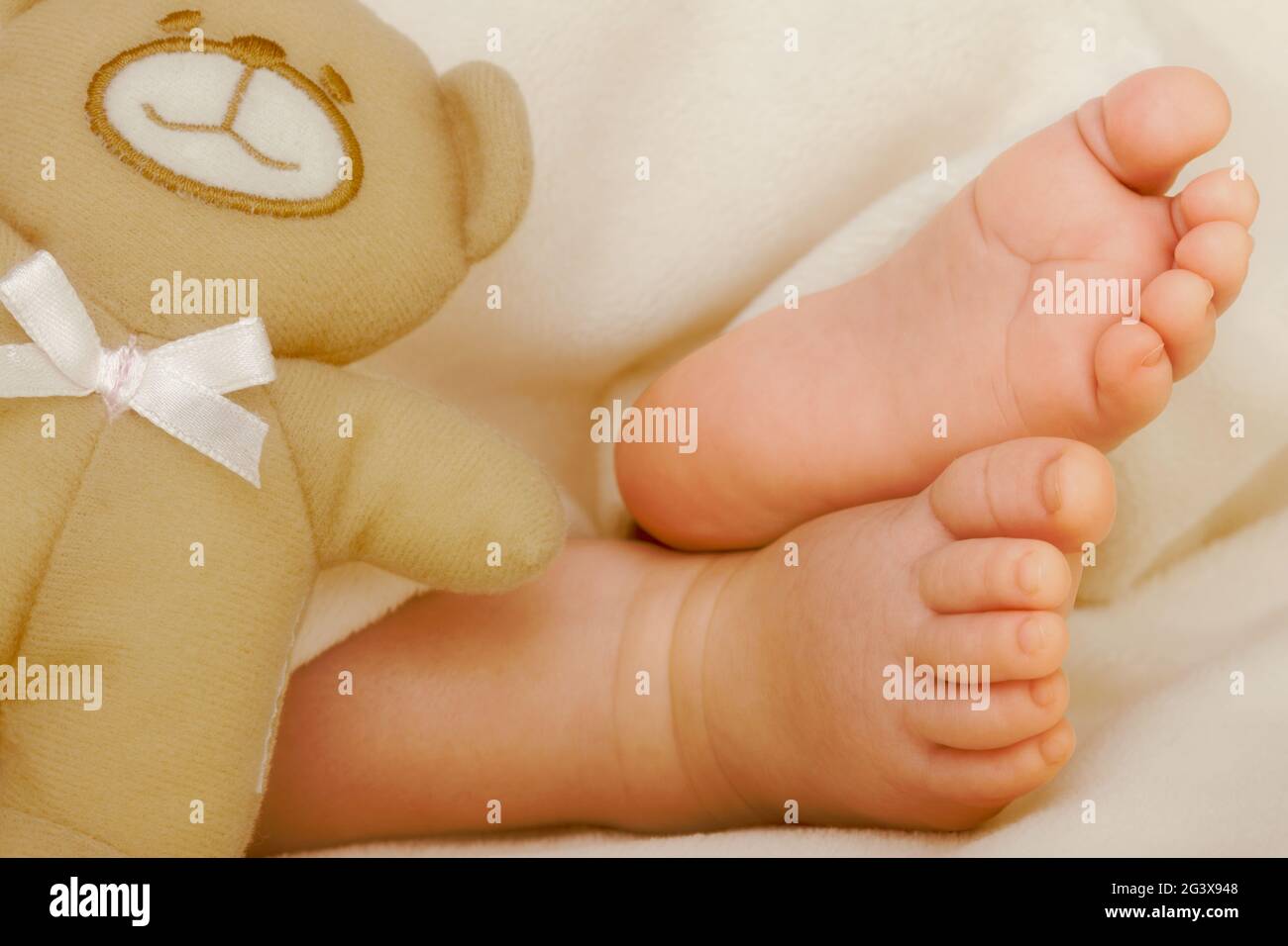 Baby Feet & Teddy Bear Banque D'Images