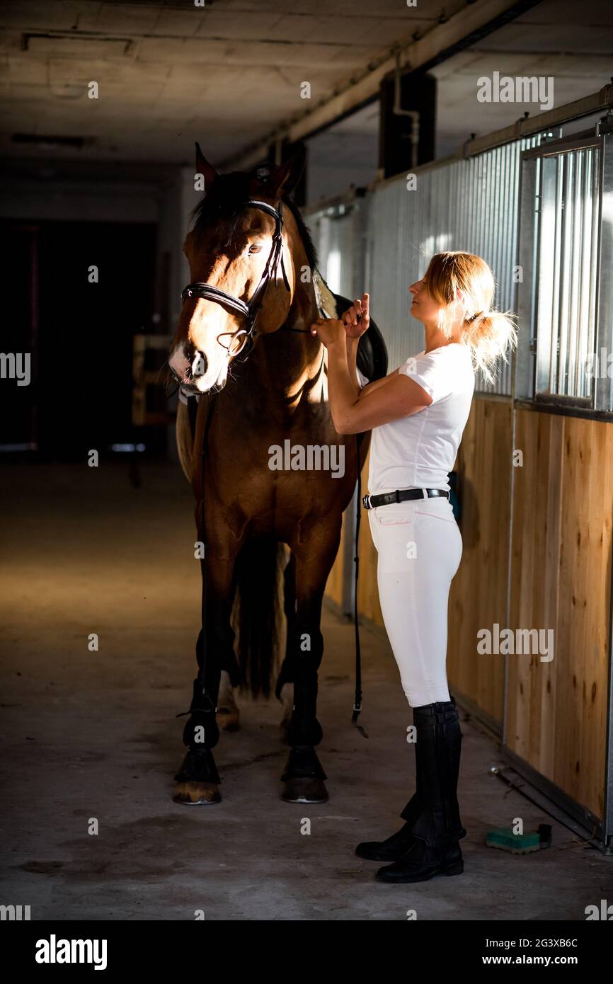 Une jeune athlète prend soin de son cheval le soir après l'entraînement. Ils ont la compréhension mutuelle et le plaisir . Sports et santé. Profiter de li Banque D'Images