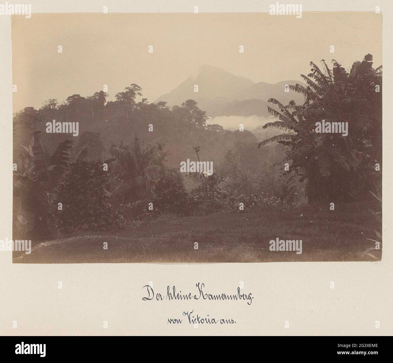 Vue sur la montagne Cameroun (Mont Camerone) depuis Victoria (Cameroun). Partie de l'album photo avec des enregistrements du Cameroun vers 1899. Banque D'Images