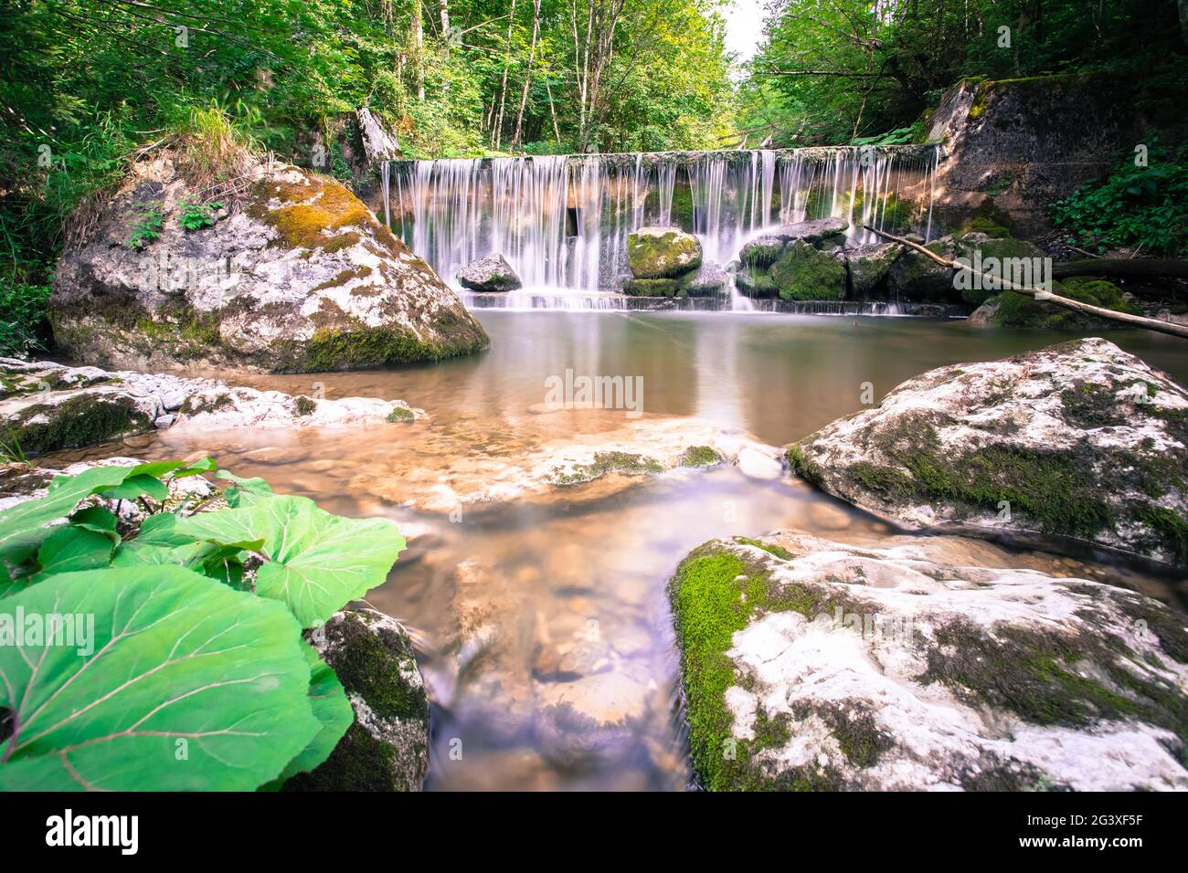 Magnifique paysage en Europe : rivière alpine et cascade dans la forêt Banque D'Images