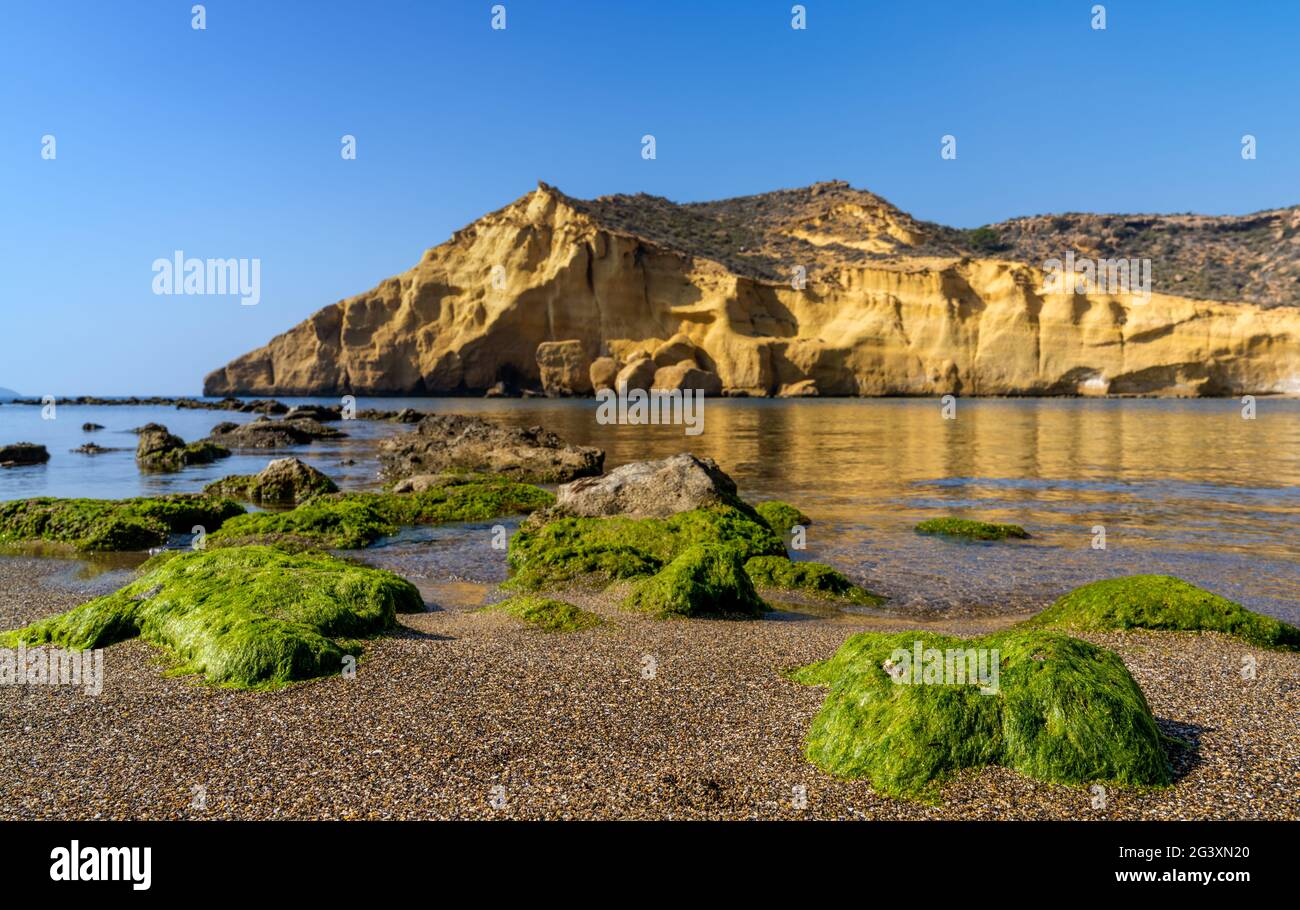 Une crique paisible et idyllique de l'océan dans la Méditerranée avec des falaises de grès jaune derrière et des rochers couverts d'algues vertes sur le sable Banque D'Images