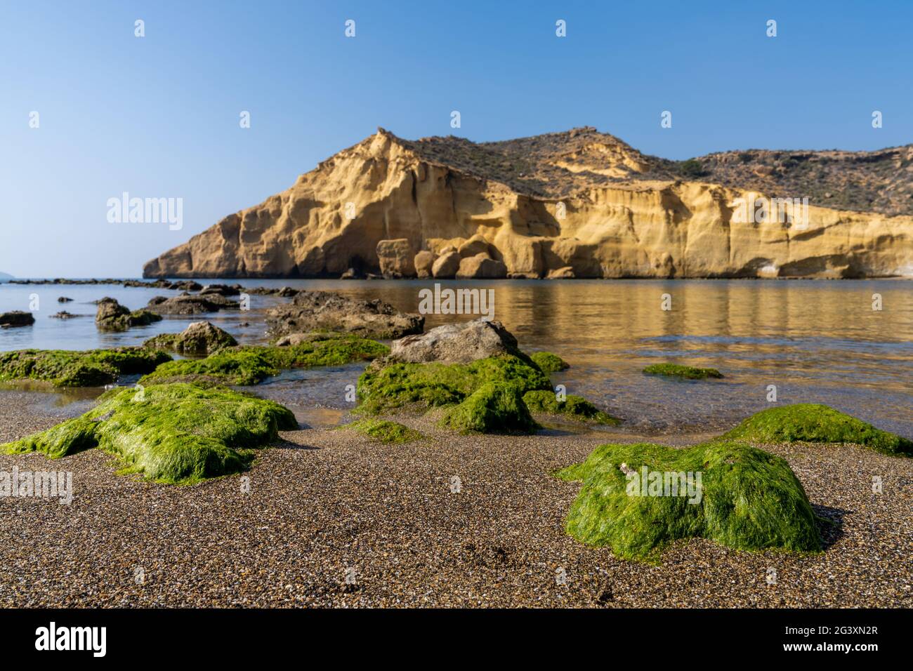 Une crique paisible et idyllique de l'océan dans la Méditerranée avec des falaises de grès jaune derrière et des rochers couverts d'algues vertes sur le sable Banque D'Images
