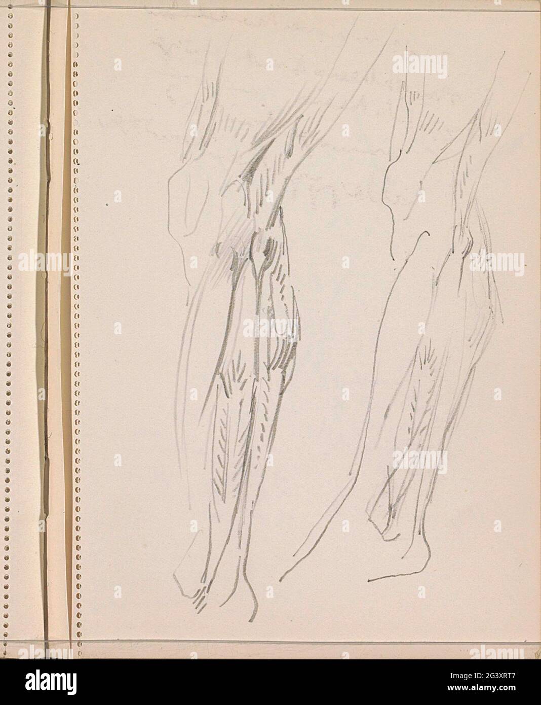 Muscles de la jambe inférieure. Feuille 6 Recto à partir d'un carnet d'esquisses avec 42 feuilles. Banque D'Images