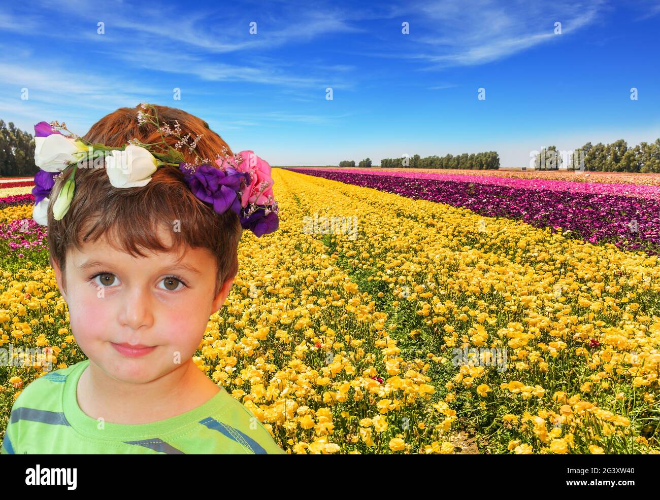 Le grand champ Banque D'Images