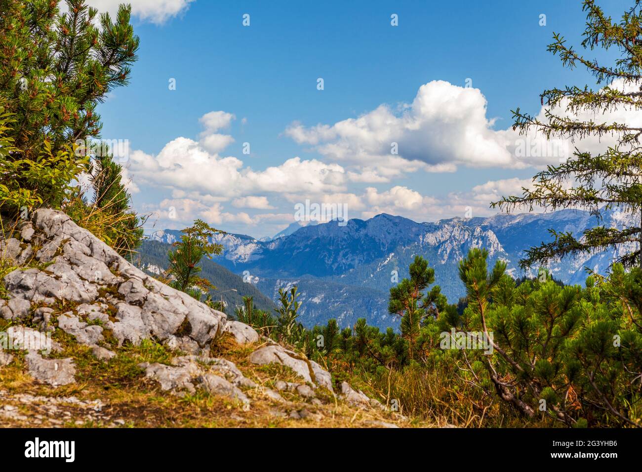 Vue sur le Steinerne Meer en été, Chiemgau, Bavière, Allemagne, Pinzgau, Salzbourg, Autriche Banque D'Images