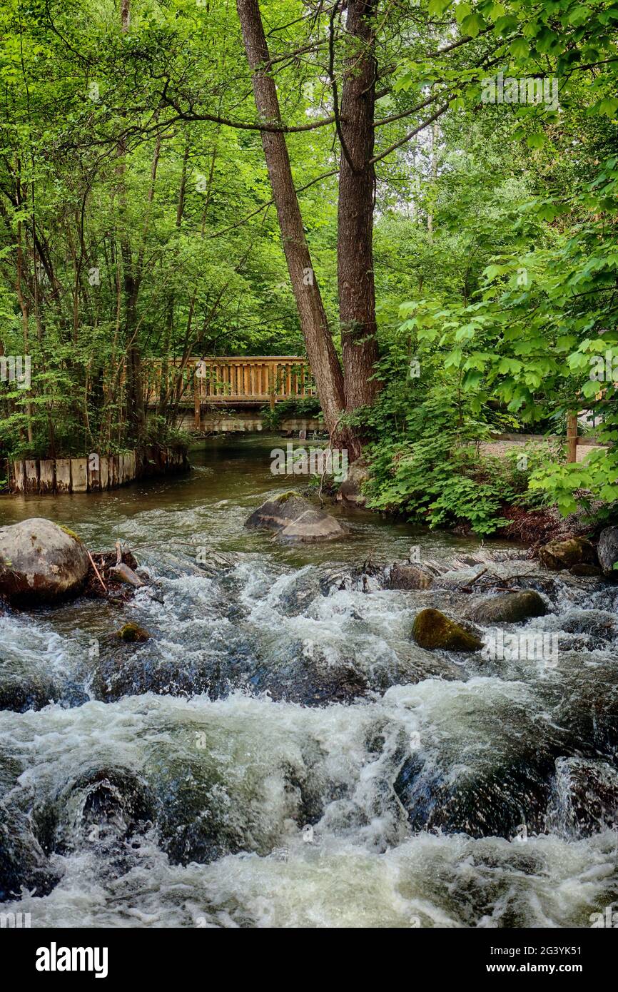 Bavière au printemps; pont en bois sur un cours d'eau; une petite cascade dans un environnement vert; verticale Banque D'Images