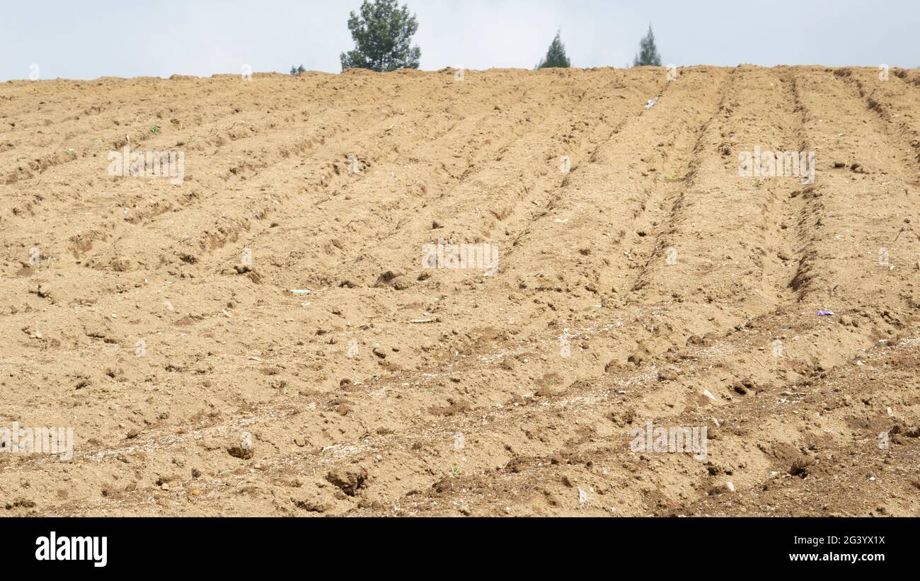 Terres agricoles labourées indonésiennes avec sol fertile. Paysage de printemps avec terres de plantation de ferme. Banque D'Images