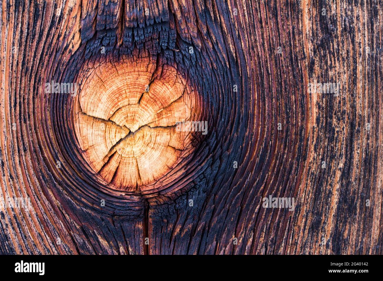Texture de fond rustique en bois : Knothole Banque D'Images
