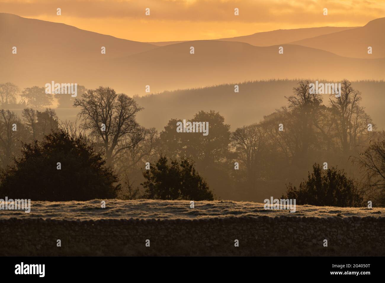 Brume matinale dans les collines. Banque D'Images