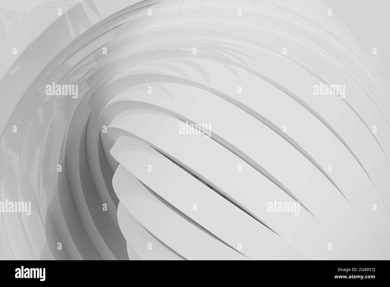 Arrière-plan géométrique abstrait blanc avec anneaux ou cercles avec ombre tropicale, rendu 3d Banque D'Images