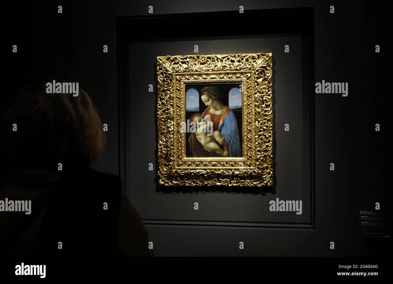 La Madonna Litta, un chef-d'œuvre de Léonard de Vinc'si, exposé au musée Poldi Pezzoli, à Milan. Italie Banque D'Images