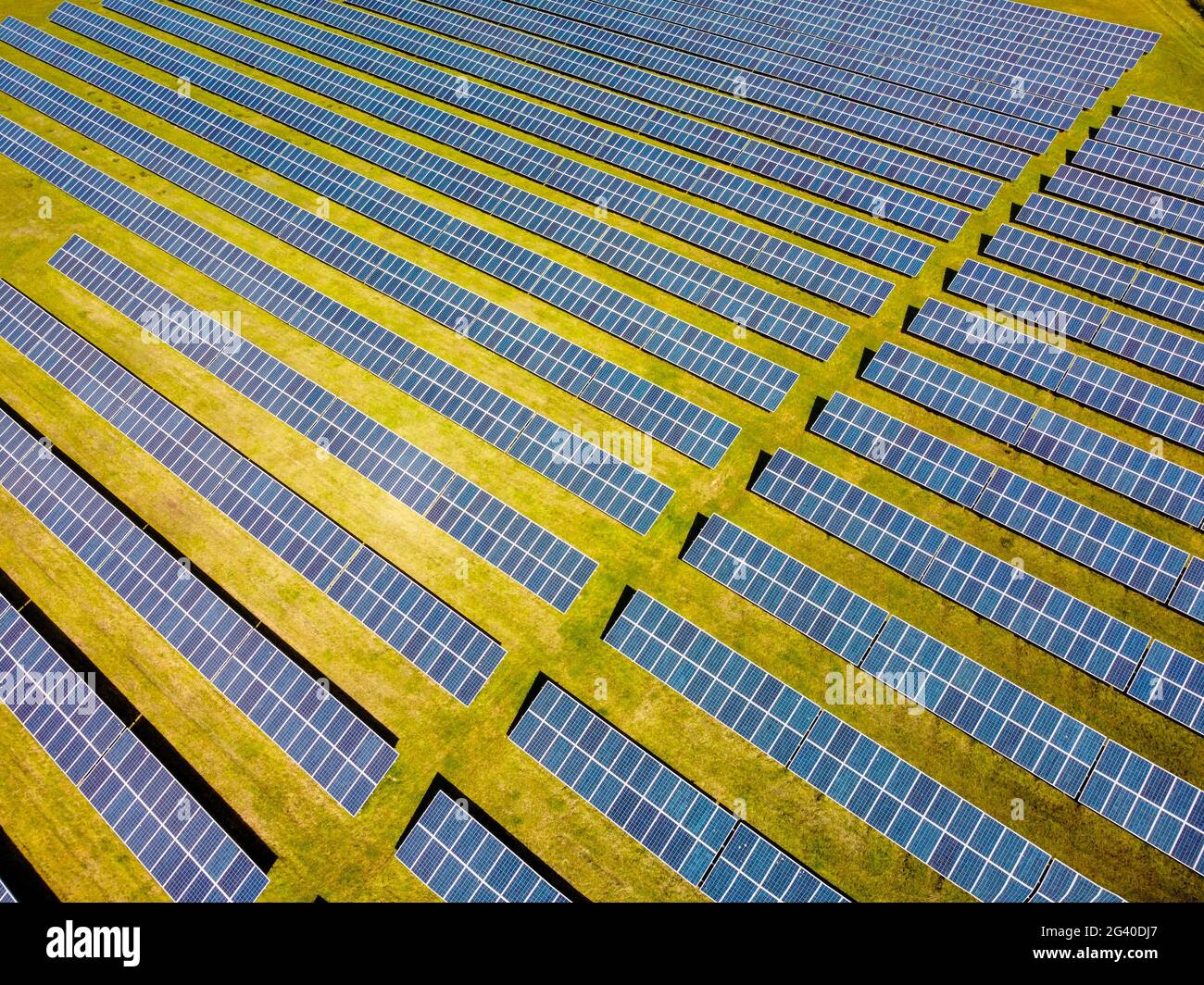 Ferme d'énergie solaire à Hamsprire, Angleterre Banque D'Images