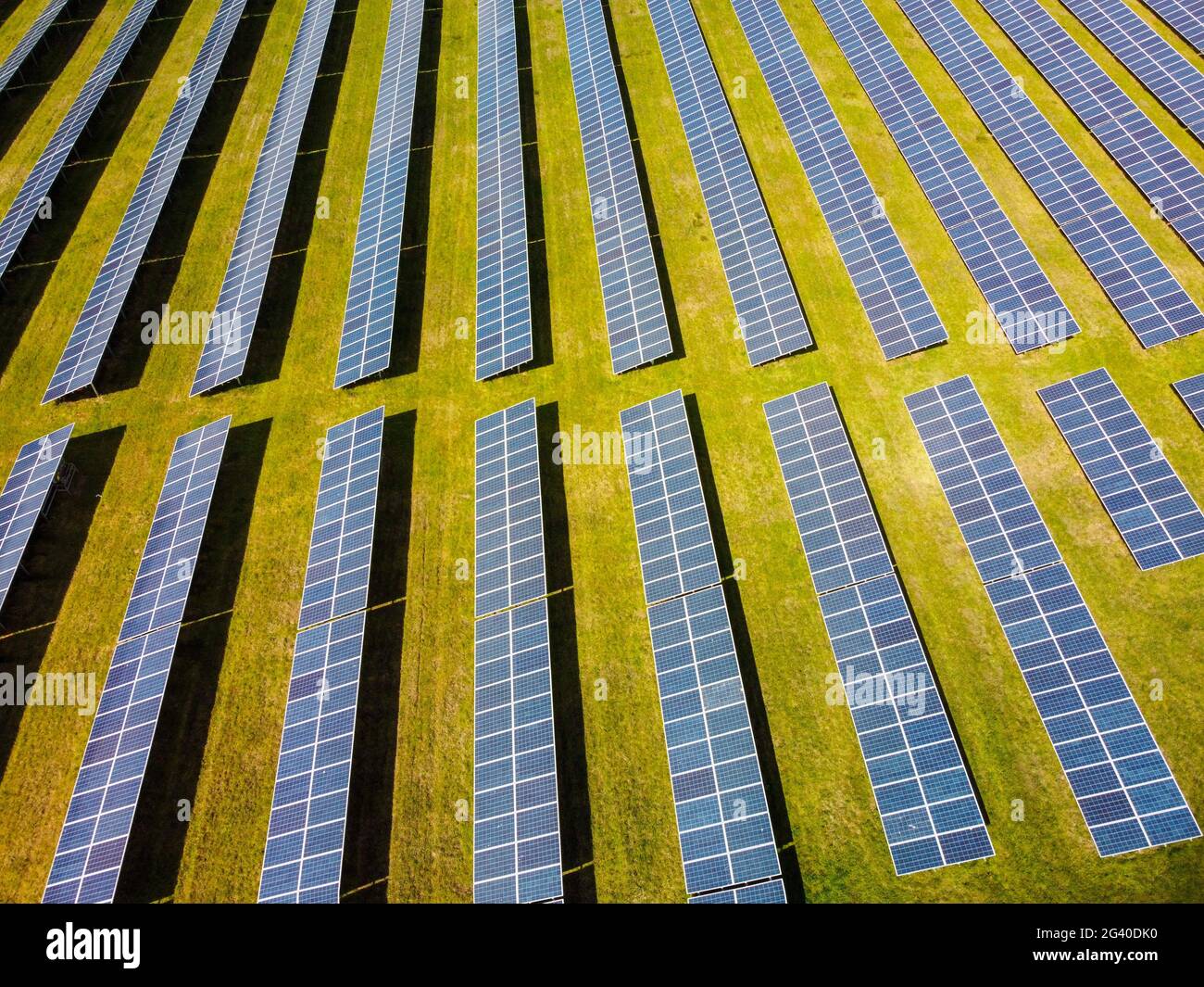 Ferme d'énergie solaire à Hamsprire, Angleterre Banque D'Images