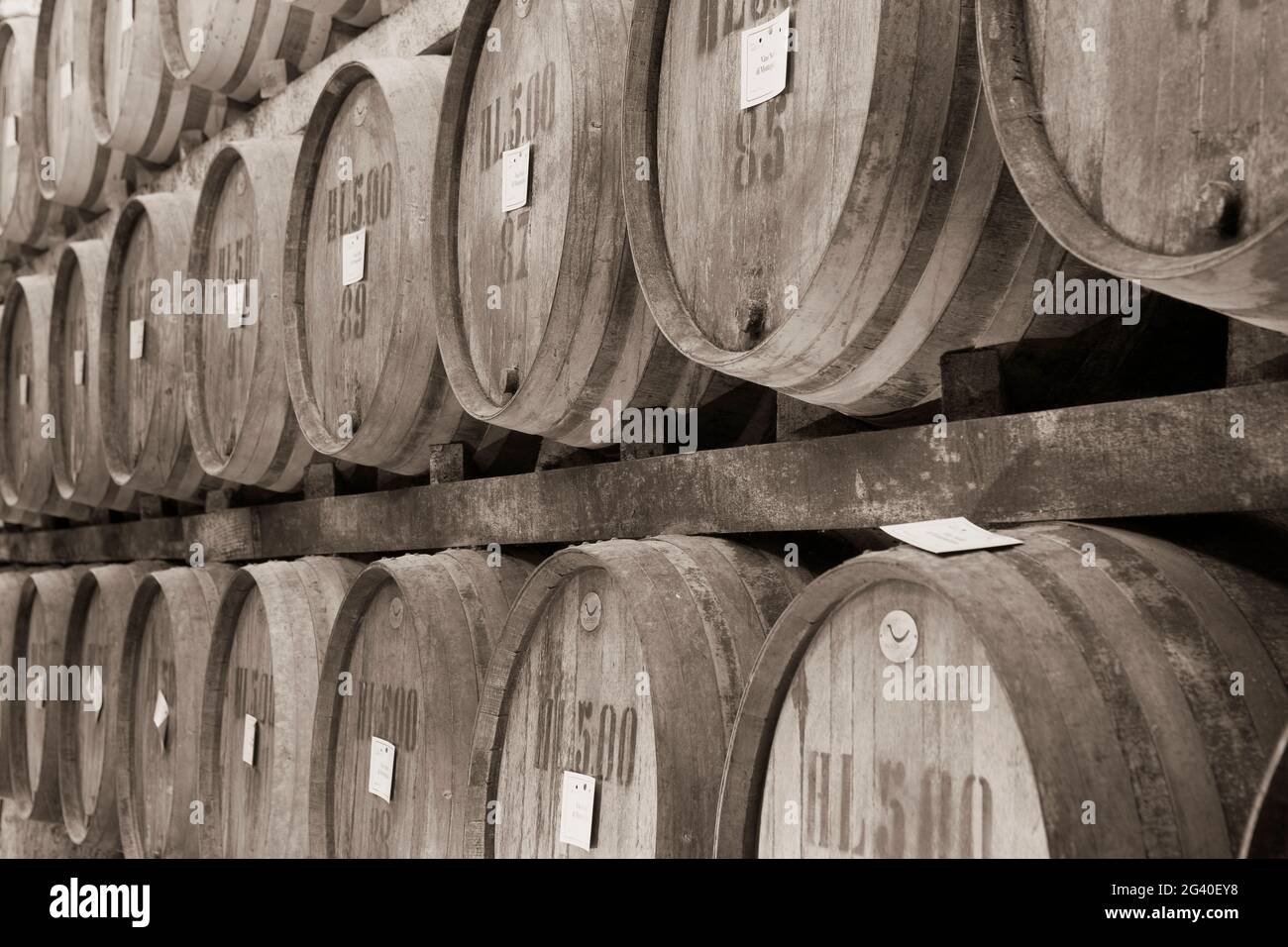 Fûts de vin dans une cave à vin, Montepulciano, Toscane, Italie Banque D'Images