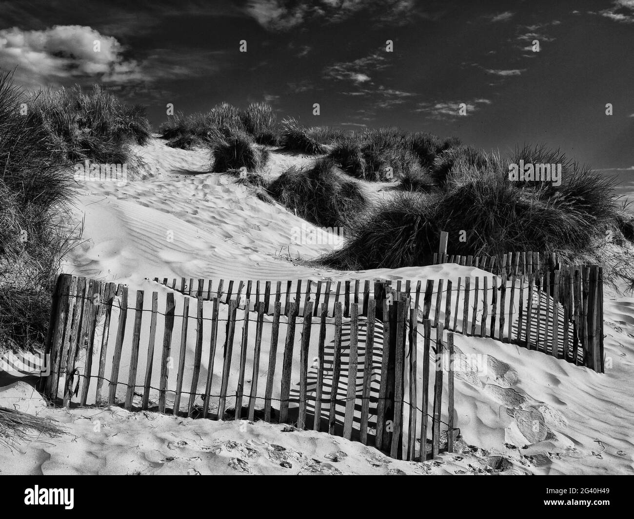Image monotone à contraste élevé des dunes de sable de Camber Sands, East Sussex, Royaume-Uni Banque D'Images