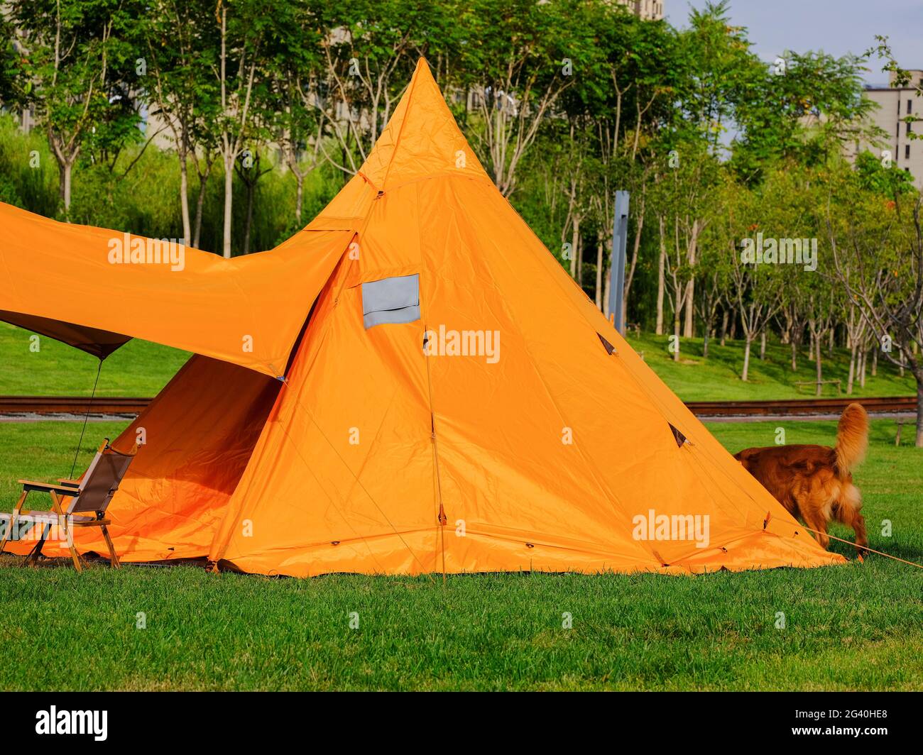 Camping tentes et chiens dans le parc photo de haute qualité Banque D'Images