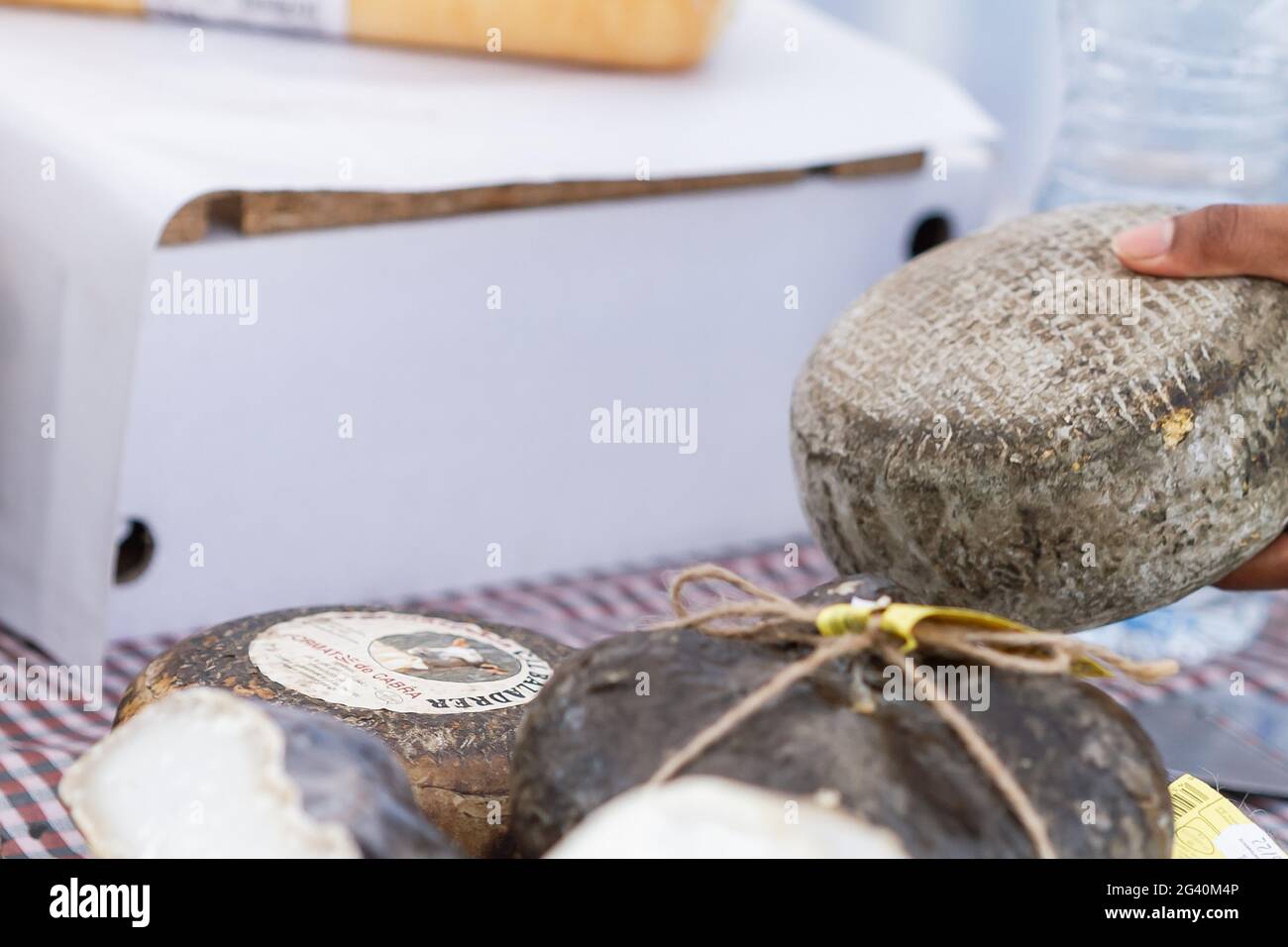 Gros plan de morceaux de fromage de chèvre emballés sur une table en Espagne Banque D'Images