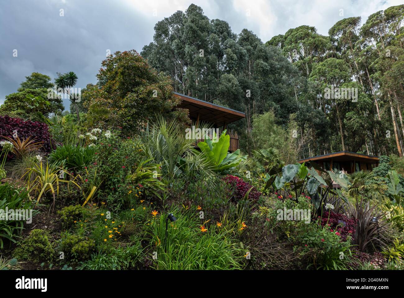 Forêt et chalets dans le complexe de luxe un Banque D'Images