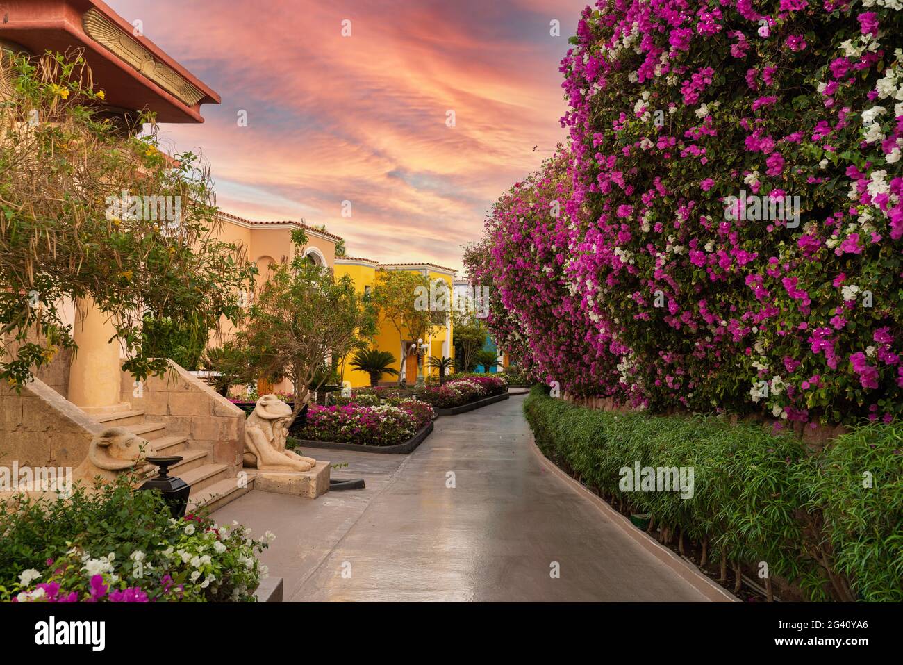 Belle zone de l'hôtel avec des arbustes fleuris et une architecture intéressante. Promenez-vous le long de la belle rue fleurie Banque D'Images