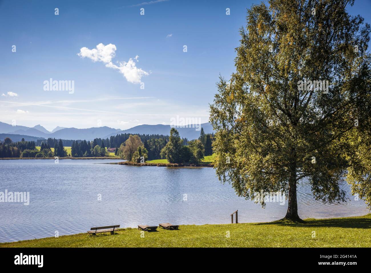 Schwaltenweiher près de Seeg, Ostallgäu, Allgäu, Bavière, Allemagne Banque D'Images