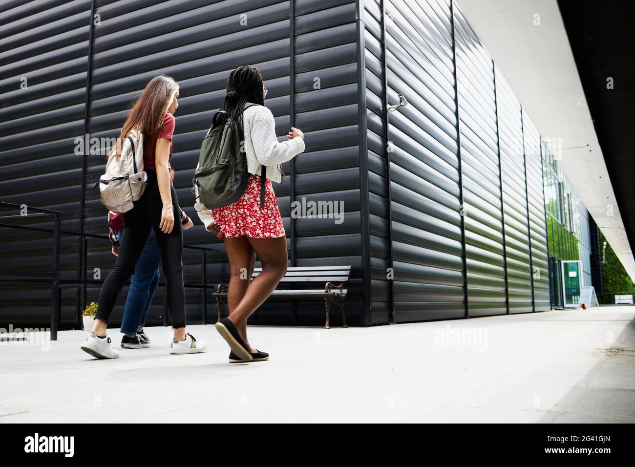 Un groupe de jeunes amis marchant autour du campus Banque D'Images