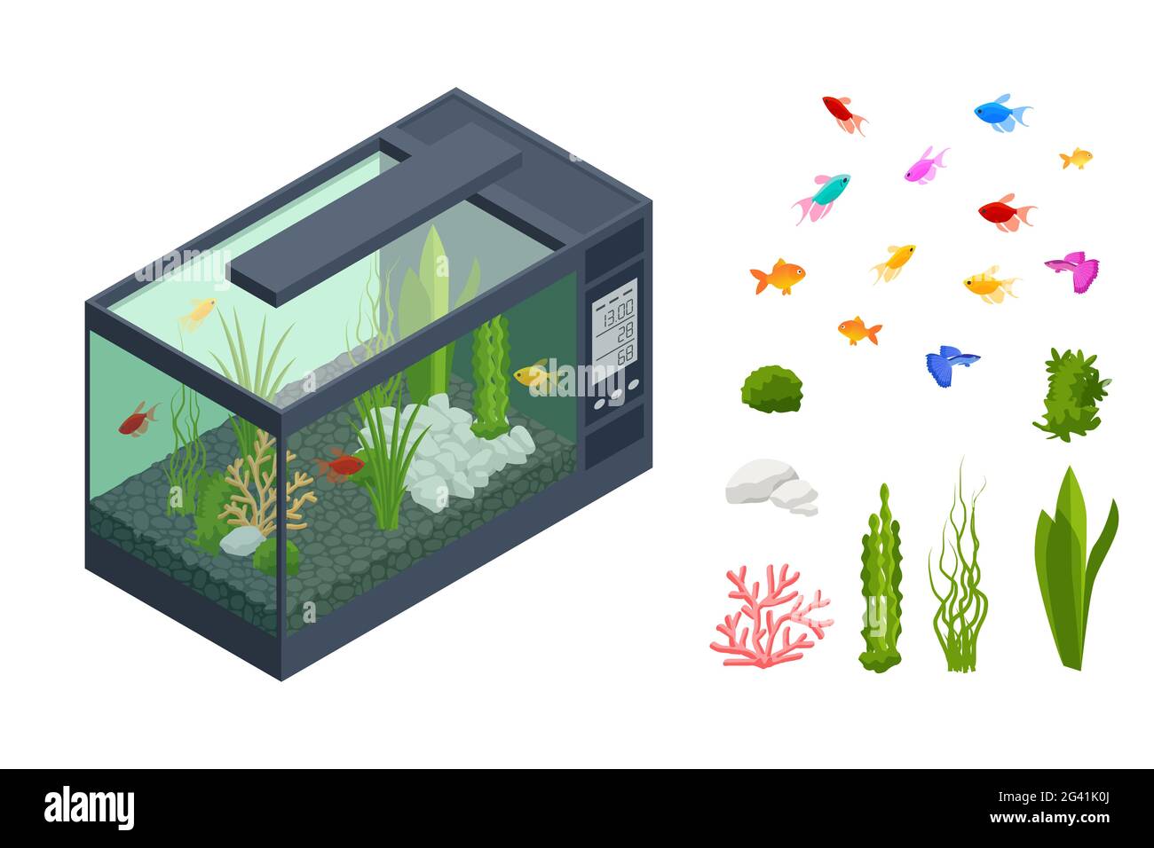 Poissons rouges isométriques dans l'aquarium d'eau douce et ensemble d'éléments sous-marins de l'aquarium, poissons, coraux, vert planté tropical, pierres isolées sur blanc Illustration de Vecteur