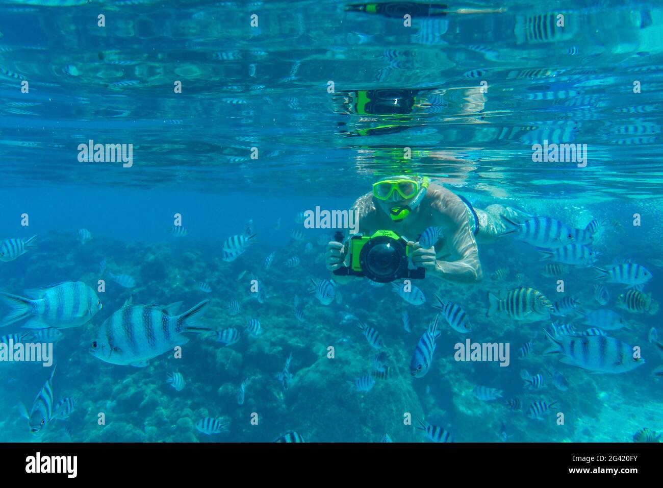Prise de vue sous-marine de l'homme avec caméra Panasonic Lumix avec caisson sous-marin tout en plongée avec tuba avec des poissons tropicaux dans le lagon de Bora Bora, Bora Bora, Banque D'Images