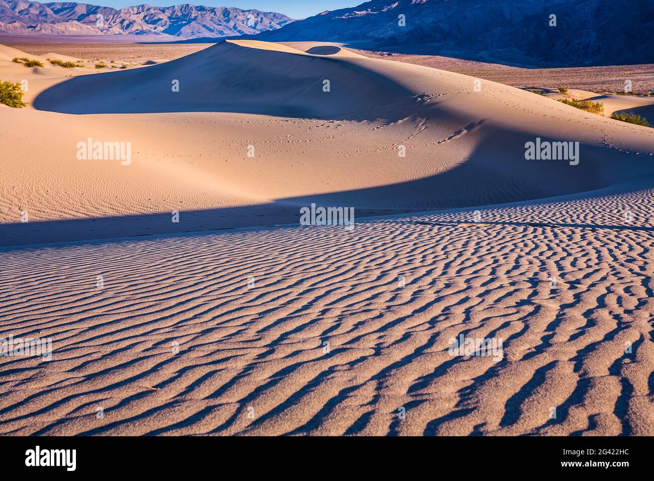 Dunes facilement accessibles Banque D'Images