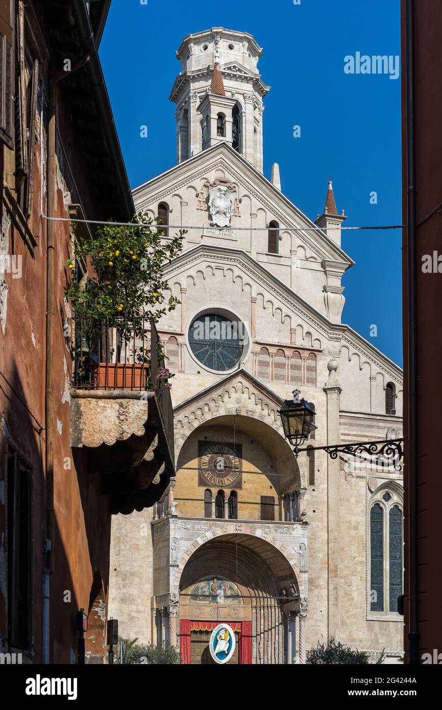 Vue de la cathédrale de Vérone Banque D'Images