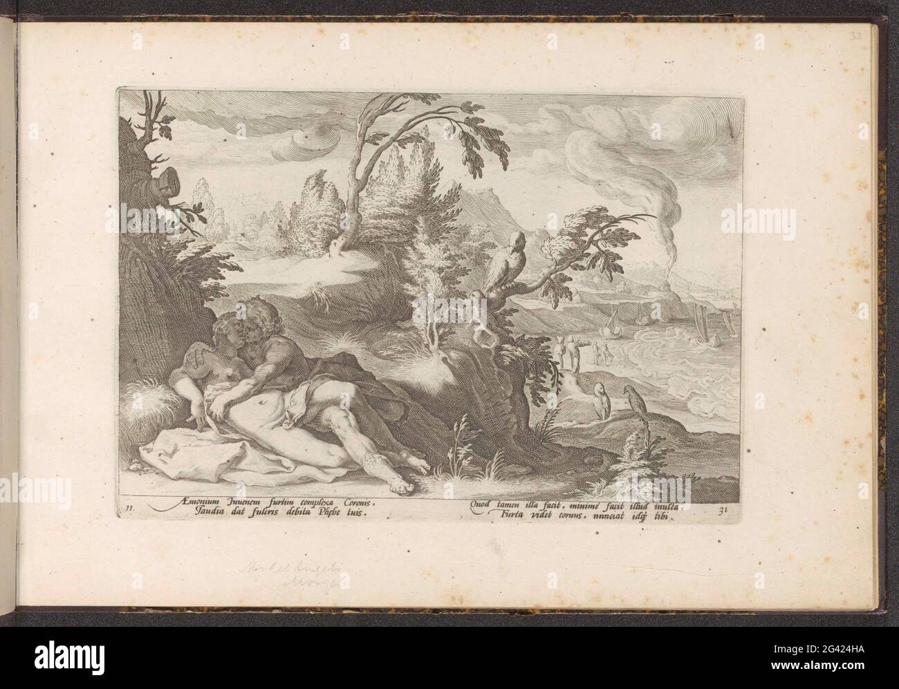 Corbeau blanc apollon Banque de photographies et d’images à haute ...