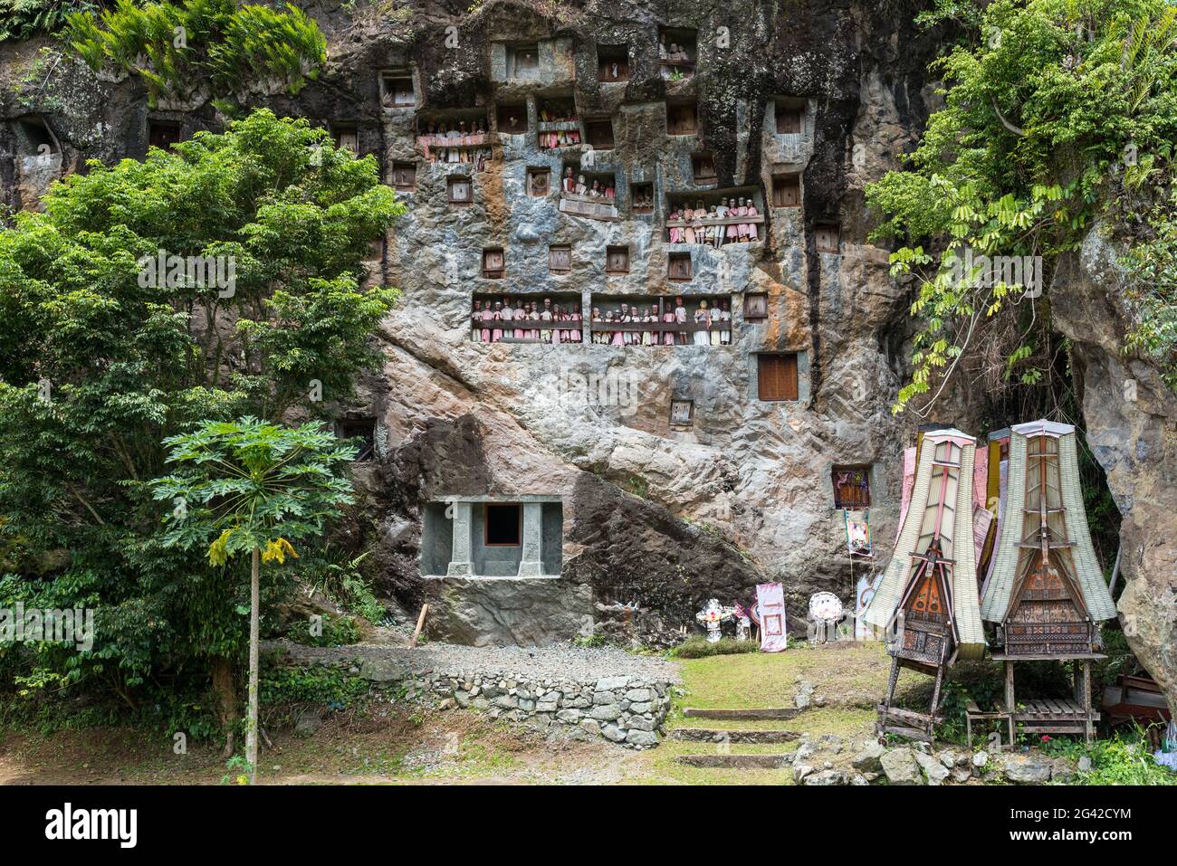 Les tombeaux et galeries de roche avec Tau Tau de Lemo sont une attraction principale dans Tana Toraja Banque D'Images