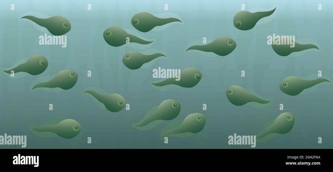 Têtards nageant dans l'étang vert, illustration comique. Banque D'Images
