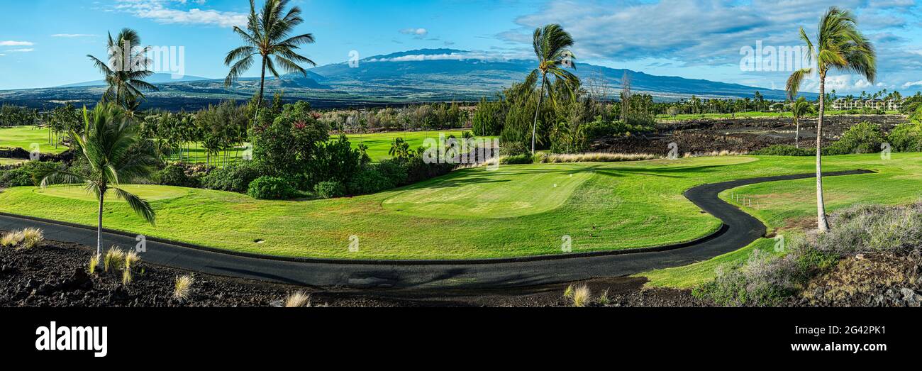 Paysage de terrain de golf avec palmiers, Waikoloa Beach, îles Hawaii, États-Unis Banque D'Images