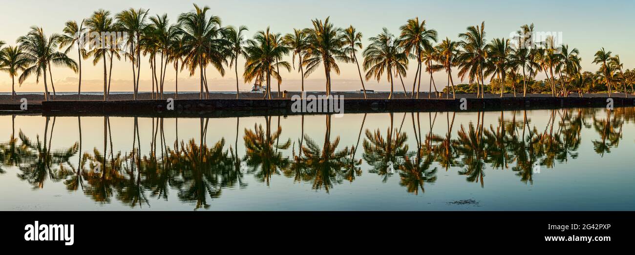 Paysage avec palmiers se reflétant dans la mer, Anaehoomalu Bay, Hawaii, Etats-Unis Banque D'Images
