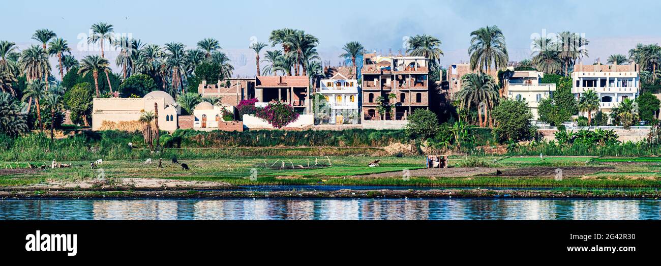 Logements de village le long du Nil, Égypte Banque D'Images