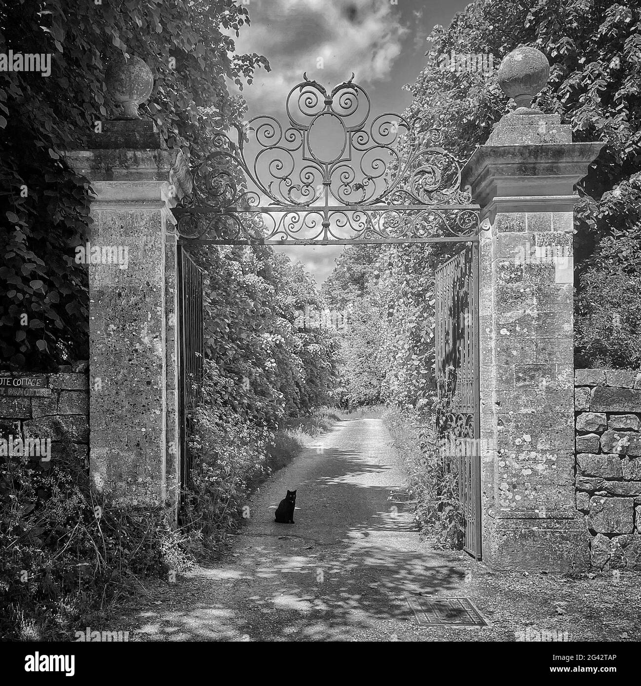 Les portes de l'ancienne maison Banque D'Images