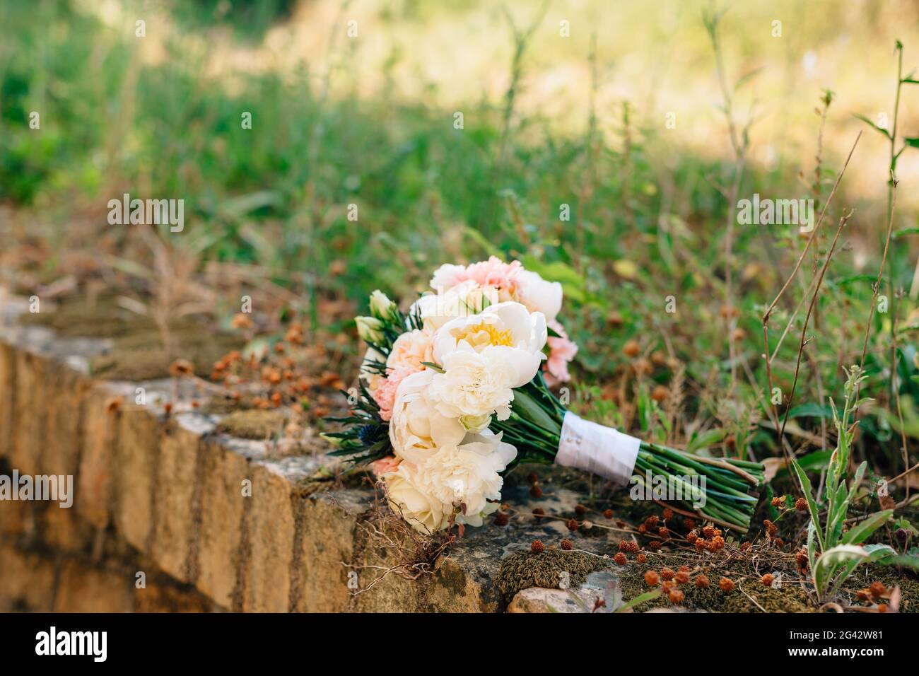 Bouquet de mariée de péonies blanches et roses, d'eryngium et de bourgeons verts, avec des rubans blancs sur l'herbe Banque D'Images