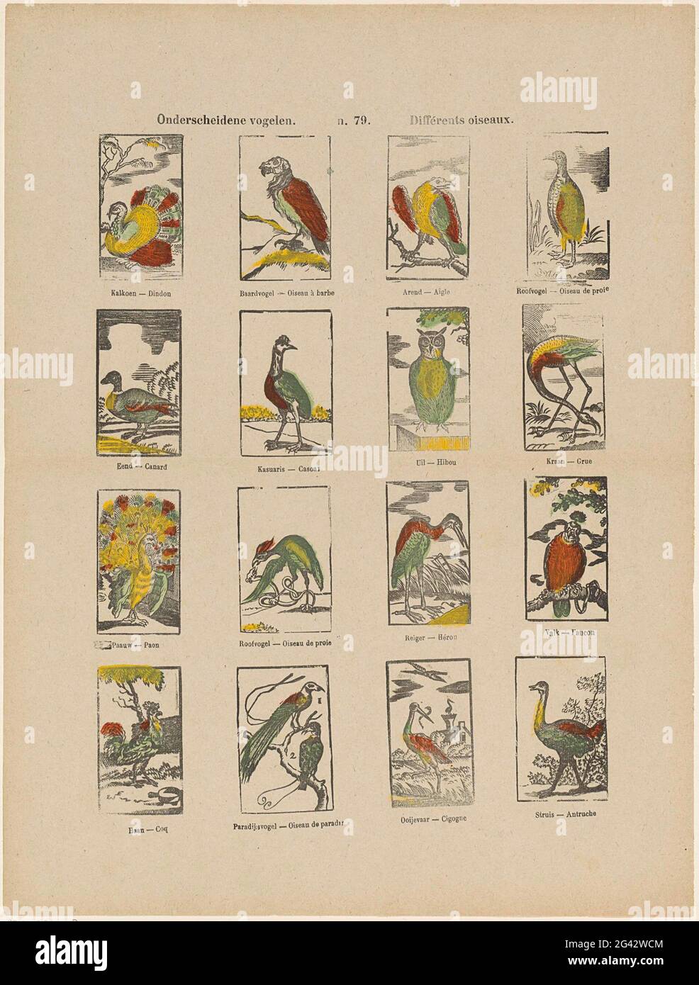 Oiseaux distinctifs / différents Oiseaux. Feuille avec 16 représentations d'oiseaux différents, dont une dinde, un aigle, un hibou et un héron. Sous chaque image une légende en néerlandais et en français. Numéroté au milieu ci-dessus : n. 79. Banque D'Images